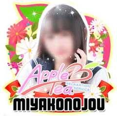 アップルティ都城店