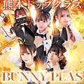 バニープラス2nd