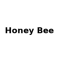 Honey Bee