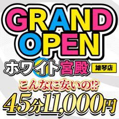ホワイト宮殿
