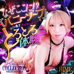 バニーコレクション