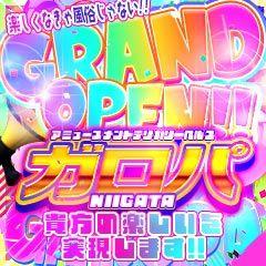 アミューズメントデリバリーヘルス　ガロパ