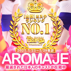 甲府回春アロマージュ