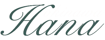 沖縄県庁周辺　デリヘル　HANA－okinawa－