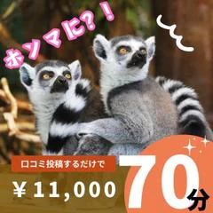 ハンドリング 亀頭責め専門店