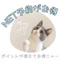 FAIRY Fukuoka Nakasu 10