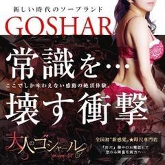 大人のゴシャール 3