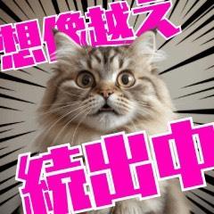 エプロンレディー