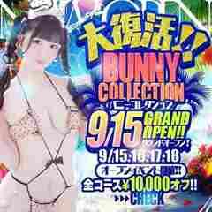 バニーコレクション宇都宮店