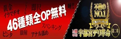 地図 宇都宮デリ革命第二章 宇都宮 デリヘル シティヘブンネット