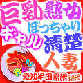 愛知半田常滑ちゃんこ