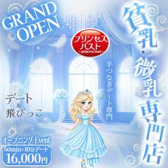 貧乳・微乳専門店 プリンセスバスト