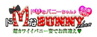名古屋駅周辺　ヘルス　ドMなバニーちゃん名古屋中村店
