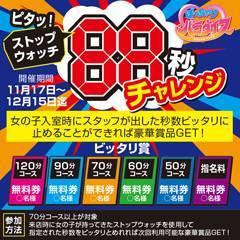 ぽっちゃりパラダイス