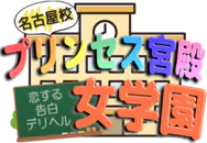 プリンセス宮殿女学園 名古屋校 10