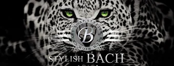 金津園　ソープ　STYLISH BACH（スタイリッシュ バッハ）