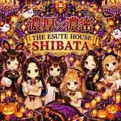 THE ESUTE HOUSE 柴田