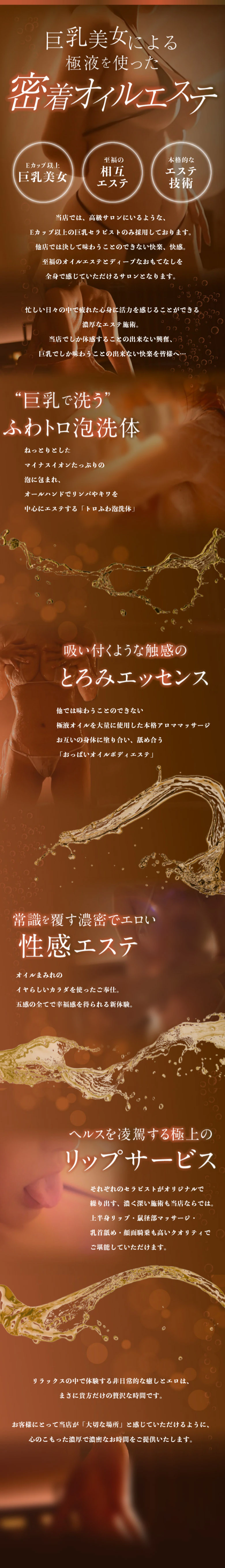 THE ESUTE HOUSE 柴田 5