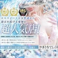 やまとなでしこ～人妻エロエロ星人～