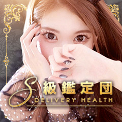 S級鑑定団