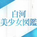 白河美少女図鑑