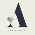AMBER NOTE
