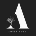 AMBER NOTE 8