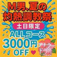 アナラードライ五反田店