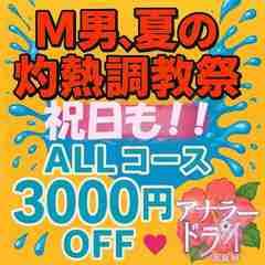 アナラードライ五反田店