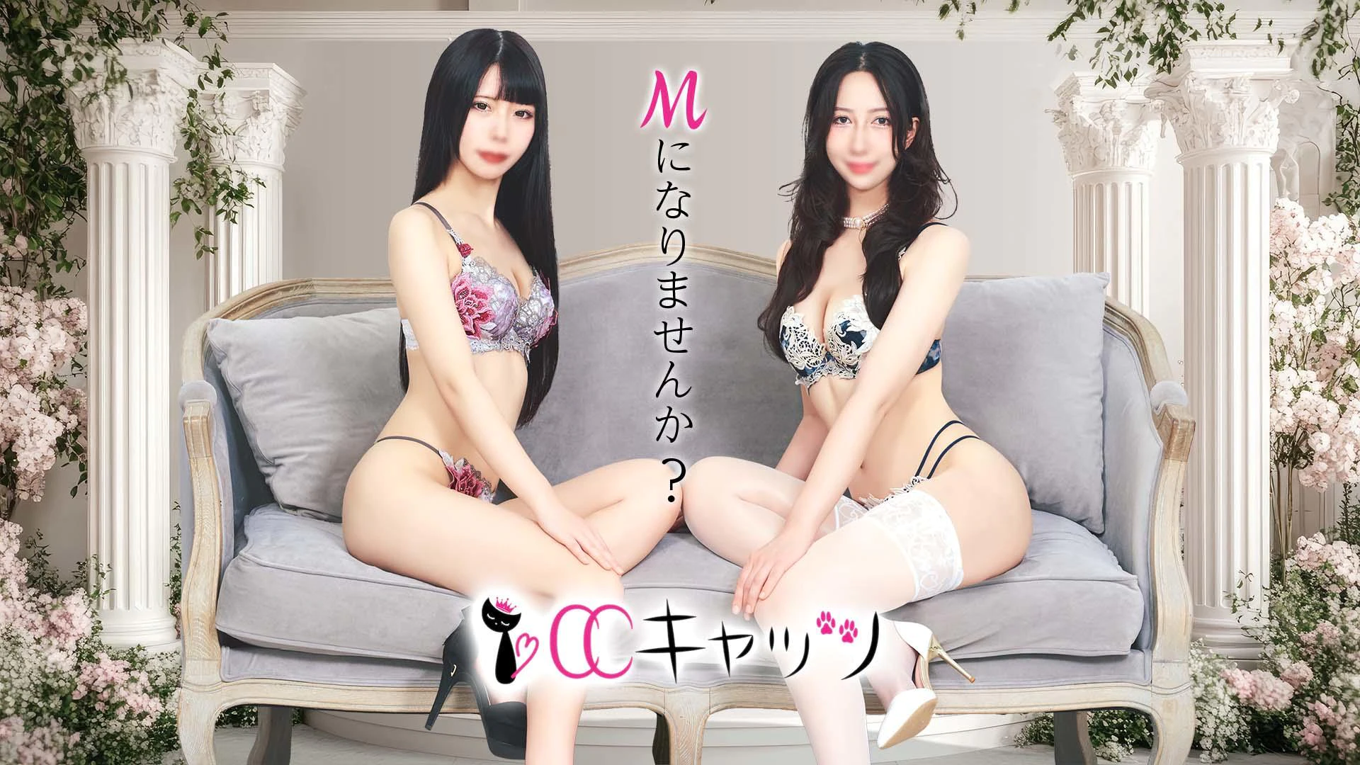 CCキャッツ 2