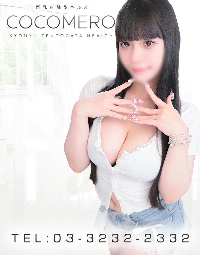 COCOMERO 3