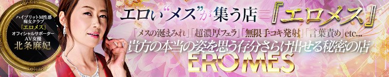 ハイブリッド痴女性感エロメス 4