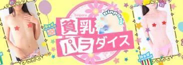 貧乳パラダイス 3