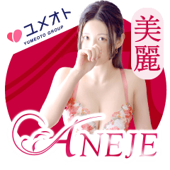 ANEJE～アネージュ池袋店～(ユメオト)