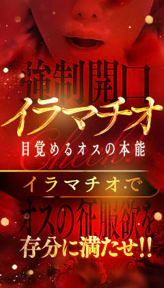 イラマチーオ新宿店 9