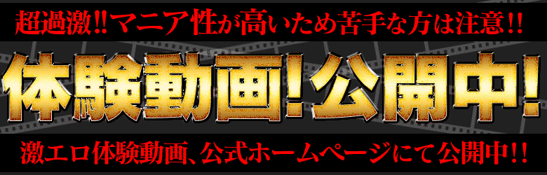 電マナイザーイラマチオン 6