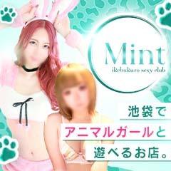 ミント
