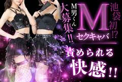 ミント（朝・昼）