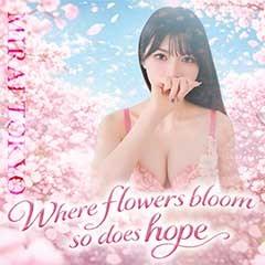 MIRAI-TOKYO六本木店