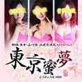 派遣型性感エステ&ヘルス 東京蜜夢