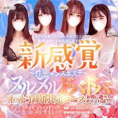 大人のエッチなエステ本店