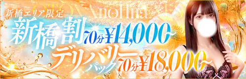 大人のエッチなエステ新橋店 3