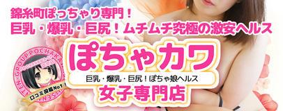 小岩・新小岩　デリヘル　錦糸町ぽちゃカワ女子専門店
