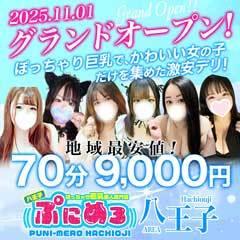 ぽっちゃり巨乳素人専門店ぷにめろ八王子店