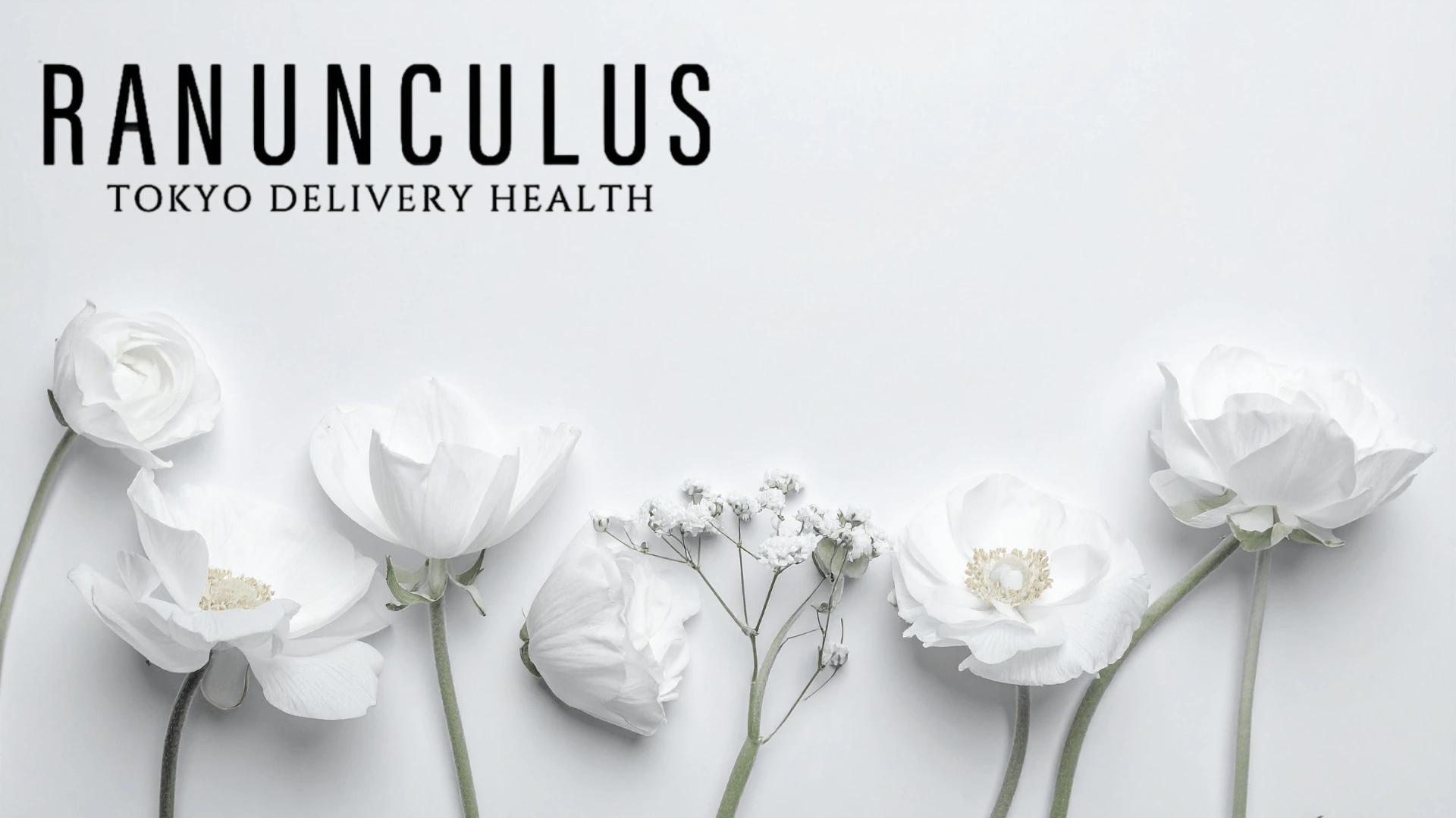 Ranunculus 3