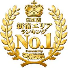 ロボットデリヘル