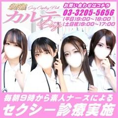 新宿カルテ（朝・昼）