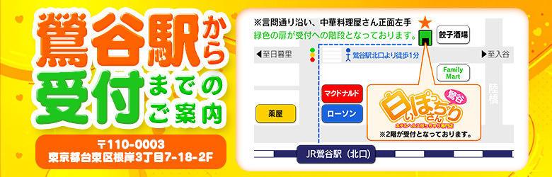 白いぽっちゃりさん 7