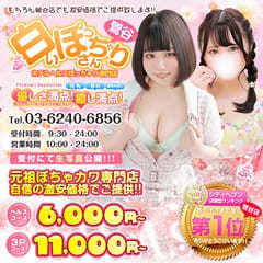 白いぽっちゃりさん