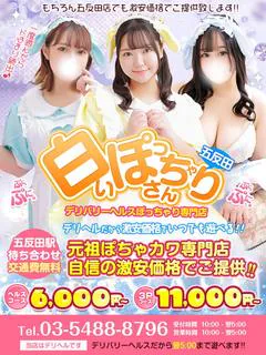 白いぽっちゃりさん 五反田店 1